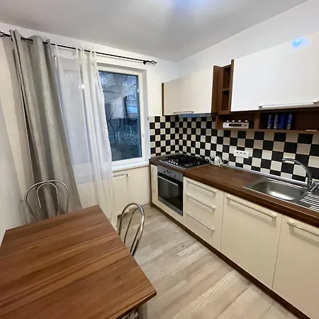 Cozy Near The Center Apartment Timisoara
